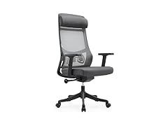 LeisureMod Dale Ergonomic Office Chair