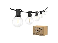 Outdoor G40 LED Globe String Lights 30Ft Dimmable
