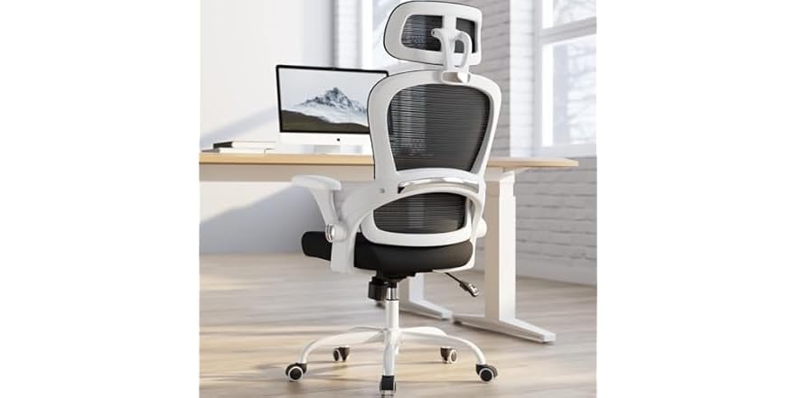 TRALT Office Chair