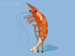 Accident Prawn