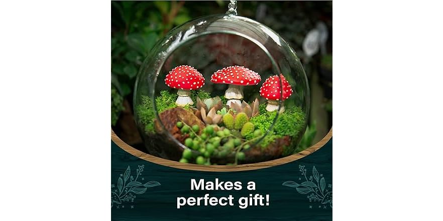 Top Collezione Statua Giardino Delle Fate – Tartaruga Su Fungo – Resina Dipinta A Mano – Altezza 6,3 Cm
