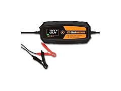 10A 6V/12V Battery Charger