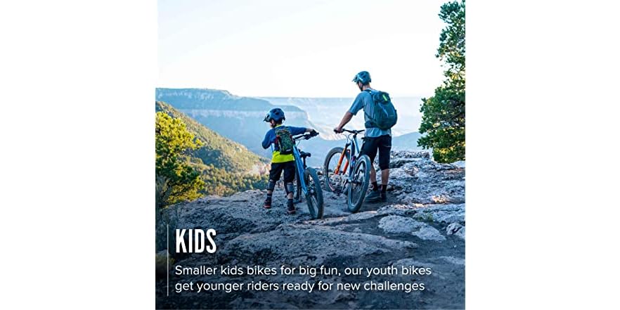 best full suspension mountain bike for the money