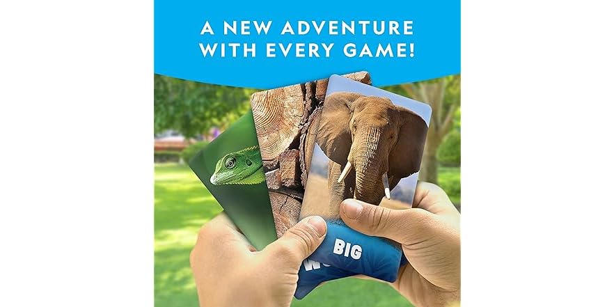 Gioco National Geographic Scavenger Hunt: Animal Traits – Caccia Al Tesoro Educativa Per Bambini 4+ – 58 Carte Animali E Borsa In Stoffa - 3