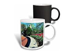 3dRose Tulips 11oz Transform Mug