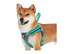 Blueberry Pet Essentials Reflective Back to