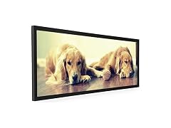 Displays2go 40 x 13.5 Panoramic Photo Frame