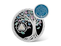 IELCJJ 13 Year Sobriety Coin