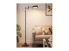Bairth Oil-Rubbed Bronze Reading Floor Lamp
