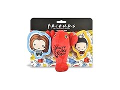 Friends the TV Show WB Friends