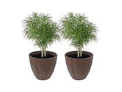 Sunnydaze Pebbled Polyresin Round Outdoor Planter Set of 2