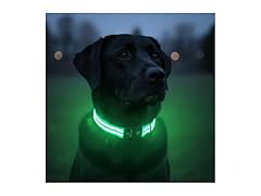 Tractive LED Light Up Dog Collar USB Rechargeable (Green)