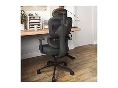 Office Chair w/ Lumbar Support