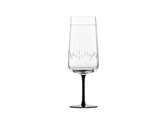Zwiesel Glas Handmade Glass Champagne (Set of 2)