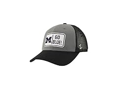 Michigan Big Rig Hat Gray Black