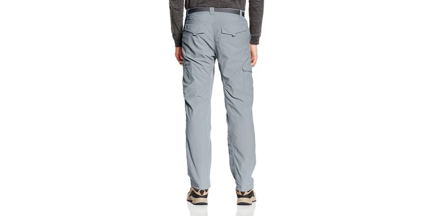 Men's Silver Ridge Big & Tall Cargo Pants