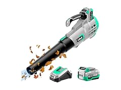 Litheli 20V Cordless Leaf Blower