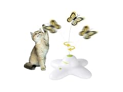 ALL FOR PAWS Interactives Flutter Bug