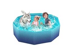 Dog Kiddie Pool