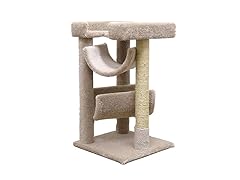 Cat Scratch & Lounge