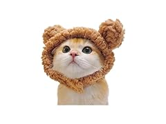 LOKLNEYK Fun cat hat