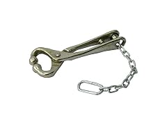 Neogen 11601 Bull Lead with Chain