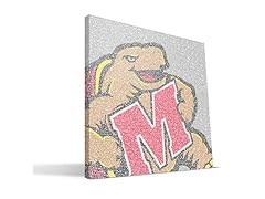Maryland Terrapins