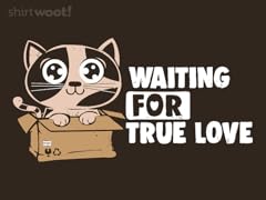 Waiting for True Love