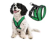 Gooby Comfort X Head in Harness - Small