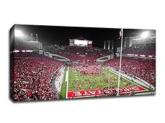 The Ohio State University Scarlet