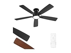 Fanbulous Ceiling Fan With Light
