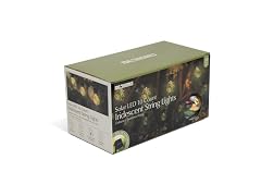 Ideaworks Solar Iridescent String Lights - 10ct