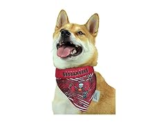 Zubaz NFL Team Reversible Pet Bandana fo Cat