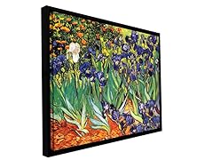 Van Gogh Irises in the Garden - Framed