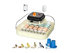 CoInceptus 35 Eggs Incubators
