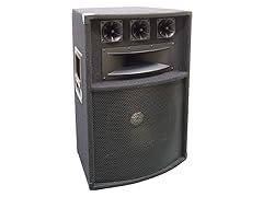 Pyle 600W 12'' 5-Way PA Speaker Cabinet