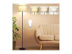 VerRon 3 Color Temperature Floor Lamp