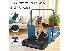 Dog Treadmill for Medium Small Dogs Up to 220lbs
