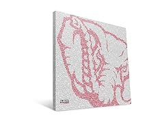 Alabama Crimson Tide