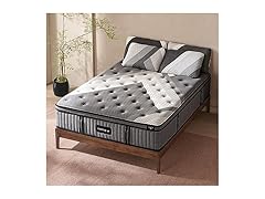 Lechepus 14" Hybrid Mattress Queen