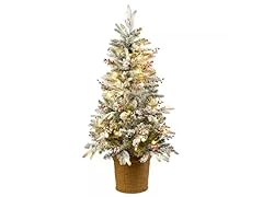 4' Snowy Poechmann Fir 70 Warm LED