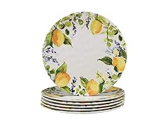 Lemon Zest Melamine Dinner Plates Set of 6 