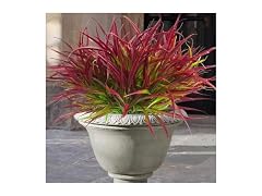 Uieke 12-Bundle Artificial UV Plants