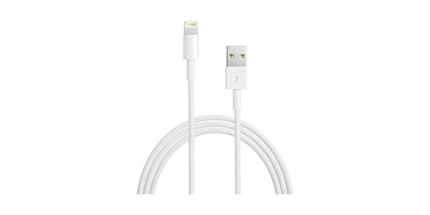 Apple Lightning to USB Cable (0.5 m)