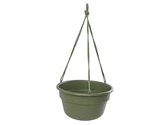 12" DuraCotta Hang Basket - 6 pk L G