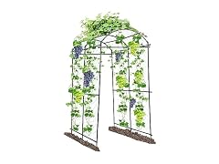 Garden Arch Trellis Outdoor Arched Trellis