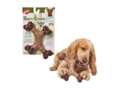 SPOT Bam-Bones Dental X-Bone Dog Chew Toy