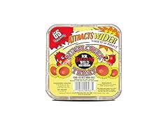 C&S Sunflower Suet Treat 11 Ounces 8 Pack