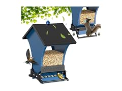 Wildpark Squirrel Proof Bird Feeders