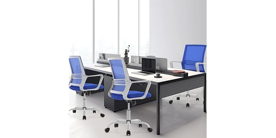 OLIXIS Ergonomic Home Office Chair - Rol